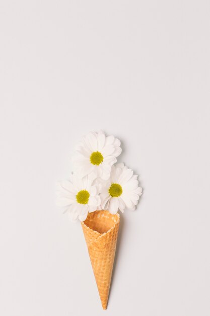 Gaufre cône et têtes de camomille