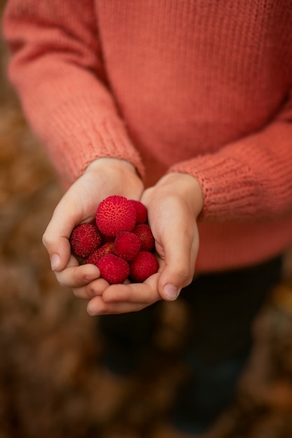 Photo gratuite des gens qui ramassent de la nourriture dans la forêt.