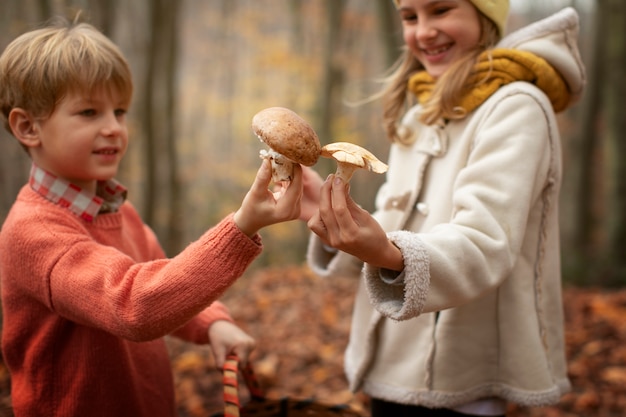 Photo gratuite des gens qui ramassent de la nourriture dans la forêt.