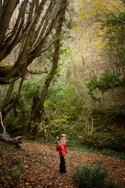 Photo gratuite des gens qui ramassent de la nourriture dans la forêt.