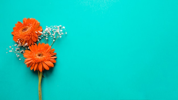 Gerberas et fleurs blanches