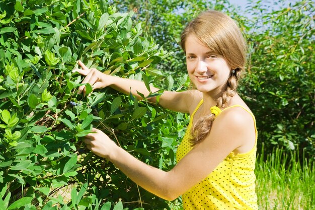 Girl picking honeyberry