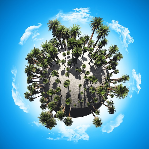 Globe de palmier