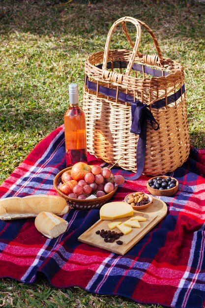 Goodies de pique-nique grand angle sur une couverture rouge et bleue