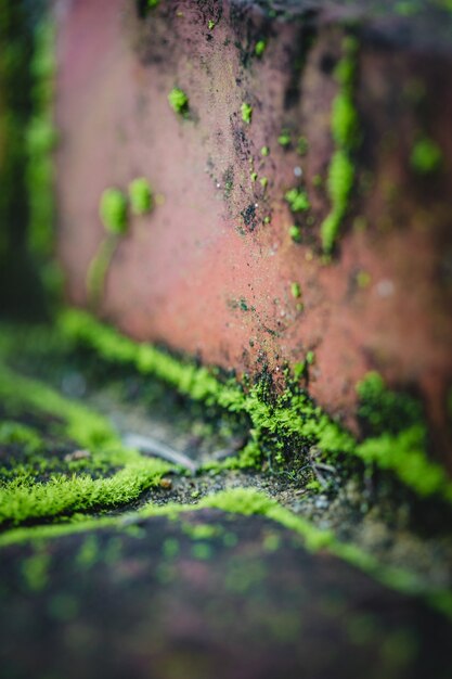 Gouttelettes d'eau sur mur de béton brun