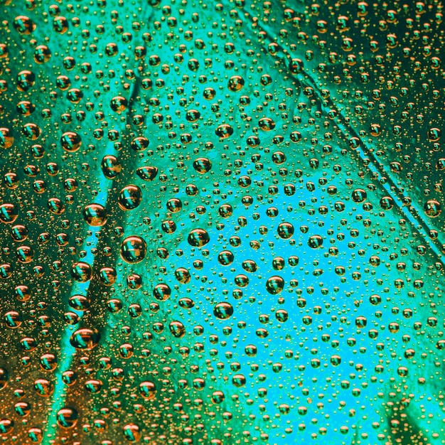 Photo gratuite gouttelettes d'eau transparentes sur la surface texturée verte