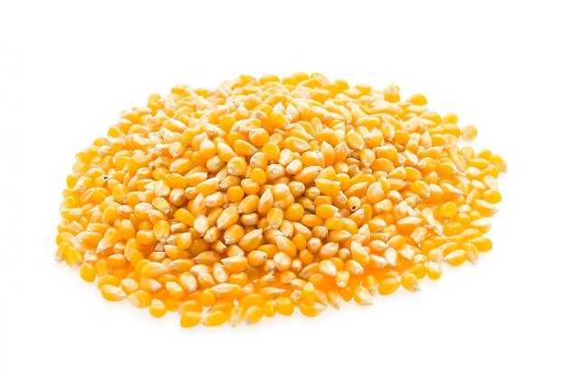 Graine d&#39;arachide de maïs