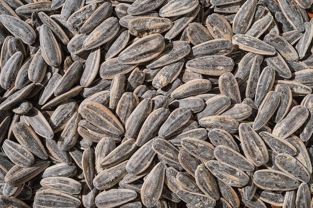 Graines de tournesol salées sur une vue de dessus de planche de bois libre Idée de fond ou de publicité de produit