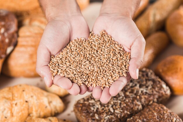 Grains de blé à la main sur le pain frais cuit