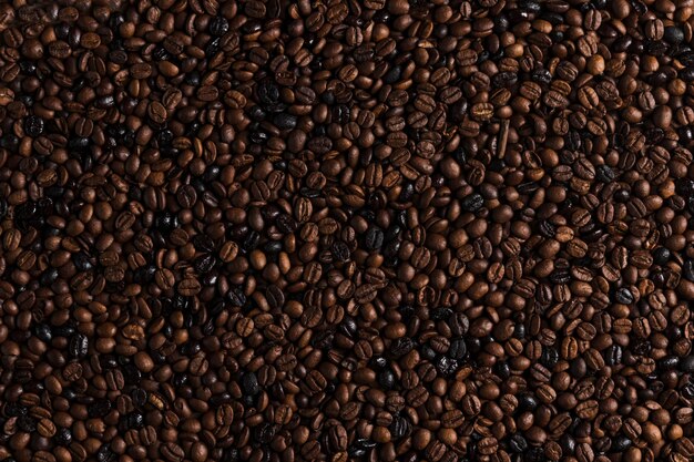Grains de café brun