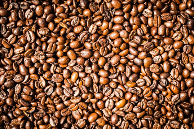 Grains de café bruns et graines