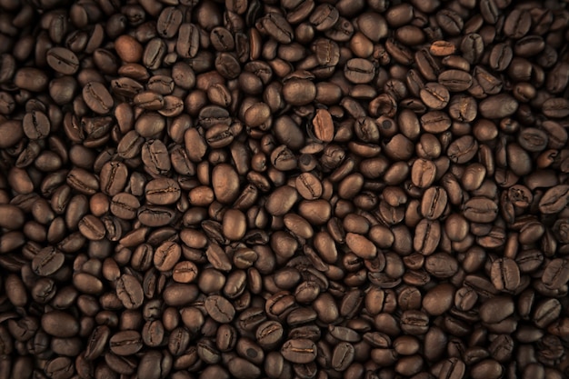 Les grains de café close up
