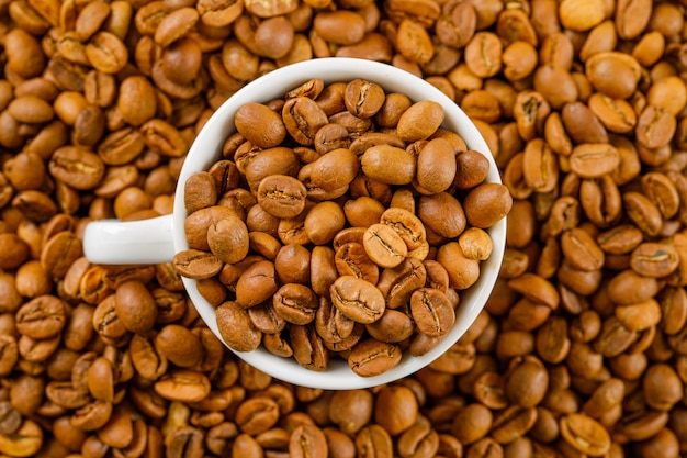 Grains de café frais dans une tasse blanche sur les grains. fermer.