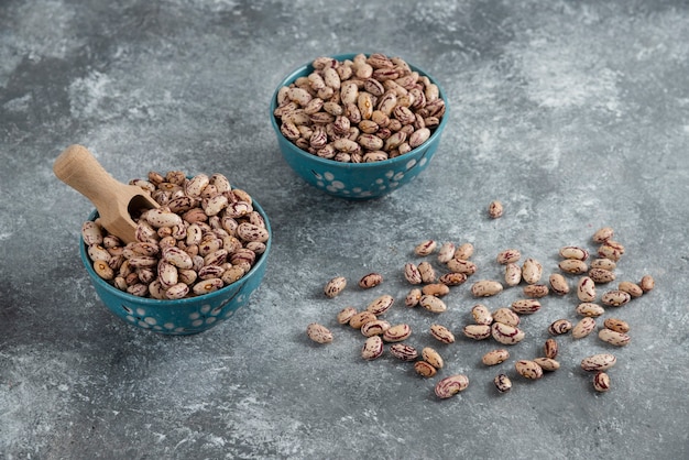 Grains de haricots crus affichés dans des bols sur une surface en marbre.