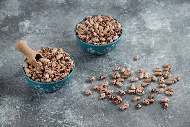 Grains de haricots crus affichés dans des bols sur une surface en marbre.