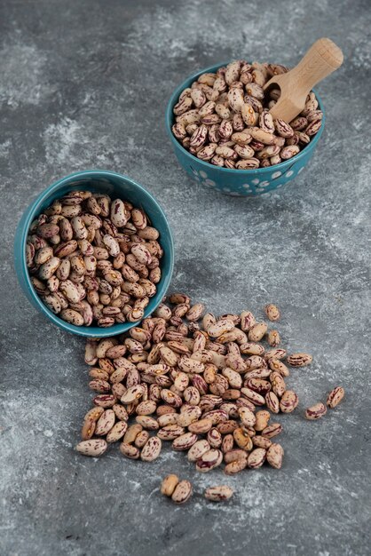 Grains de haricots crus affichés dans des bols.