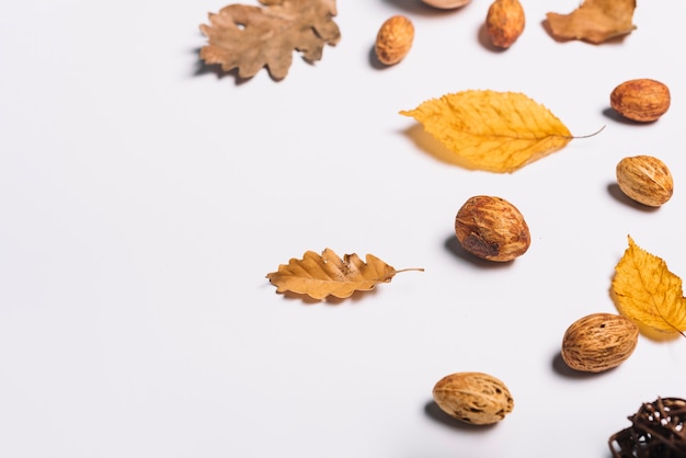 Grains de pêche et feuilles jaunes