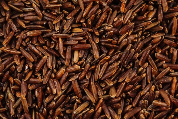 Grains de riz brun