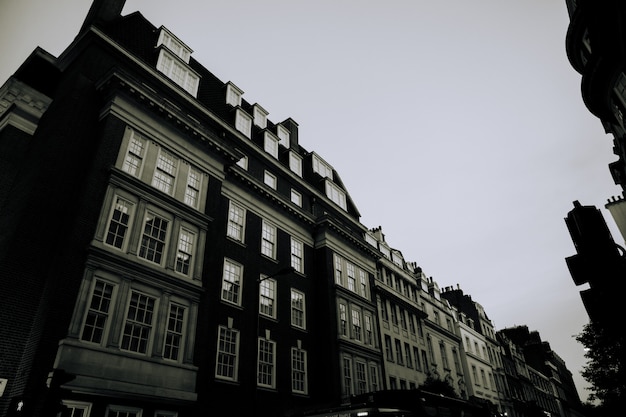 Grand angle de gris à faible angle de vue des bâtiments avec des fenêtres côte à côte