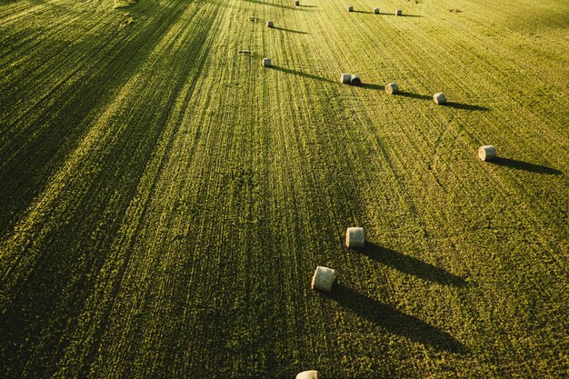 Grand beau champ agricole avec des piles de foin tourné d'en haut