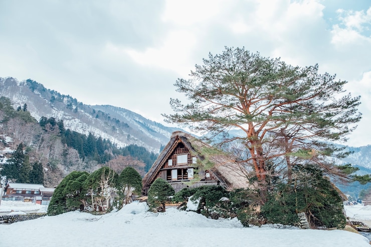 Photo gratuit grande hutte dans la neige à shirakawago, japon