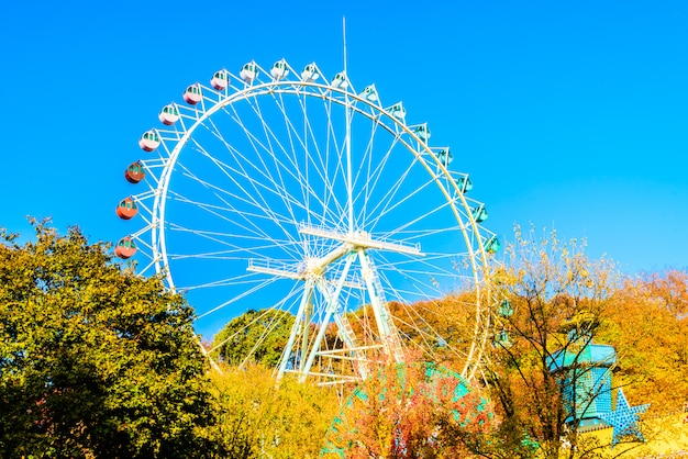 Photo gratuite grande roue dans le parc