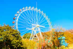 Photo gratuite grande roue dans le parc