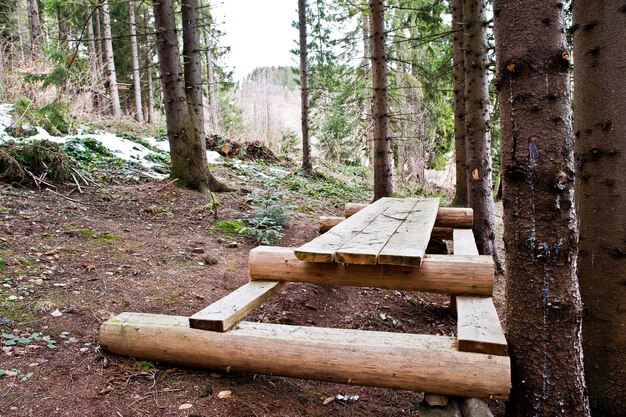 Grande table forestière en bois dans les montagnes des Carpates