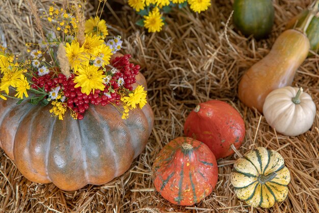Grandes citrouilles parmi la paille et les fleurs, style rustique, récolte d'automne.