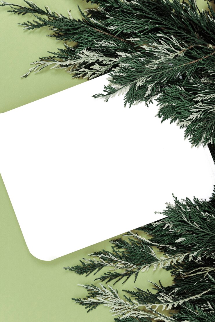 Photo gratuit grappe de brindilles de plantes près du tableau blanc