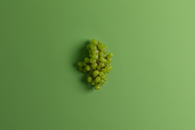 Grappe de délicieux raisin muscat vert pour faire du vin ou du jus. Fruits riches très appréciés de saison récoltés. Prise de vue monochrome. Mise au point sélective. Espace pour votre texte. Une alimentation saine, un concept alimentaire