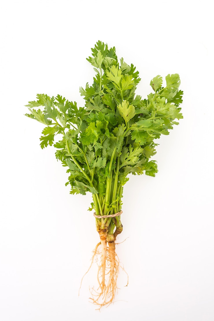 Photo gratuit grappe vert légume fond de persil