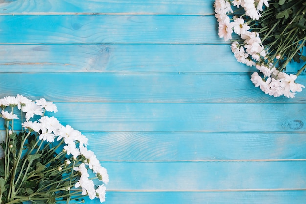 Photo gratuite des grappes de fleurs blanches