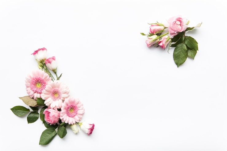 Photo gratuit des grappes de fleurs roses