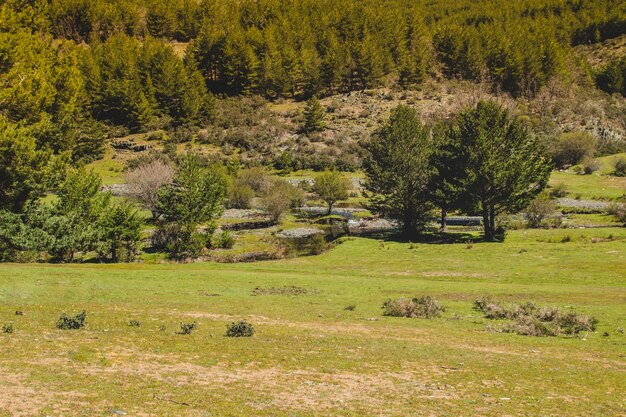 Grassy fields in countryside