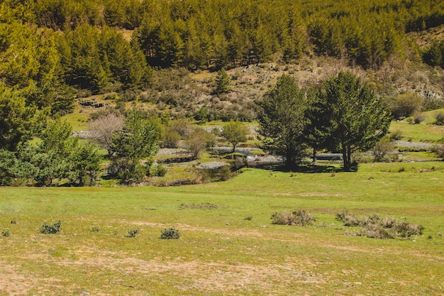 Grassy fields in countryside