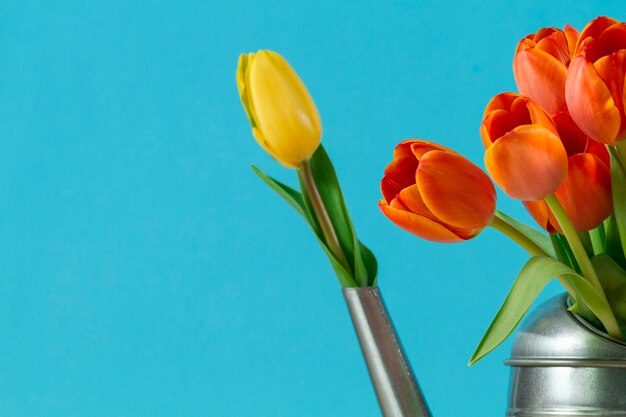 Great background avec de belles tulipes