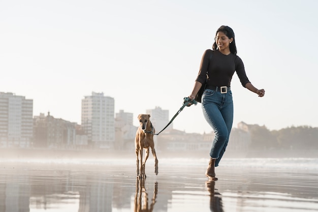 Photo gratuite greyhound s'amuse au bord de la plage