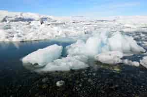 Photo gratuite gros morceaux de glace dans un lagon peu profond en islande