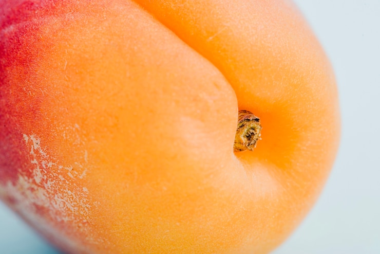 Photo gratuit gros plan d'abricot
