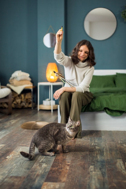 Gros plan sur un beau chat avec le propriétaire