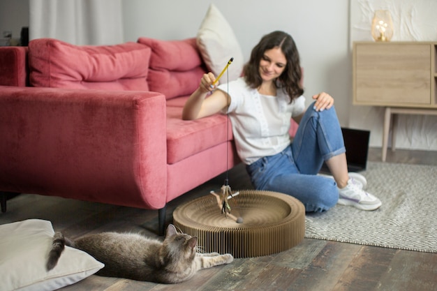 Gros plan sur un beau chat avec le propriétaire