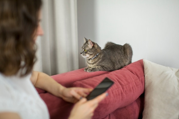 Photo gratuite gros plan sur un beau chat avec le propriétaire