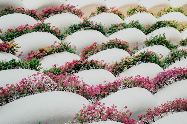 Photo gratuite gros plan de belle composition florale avec des formes géométriques