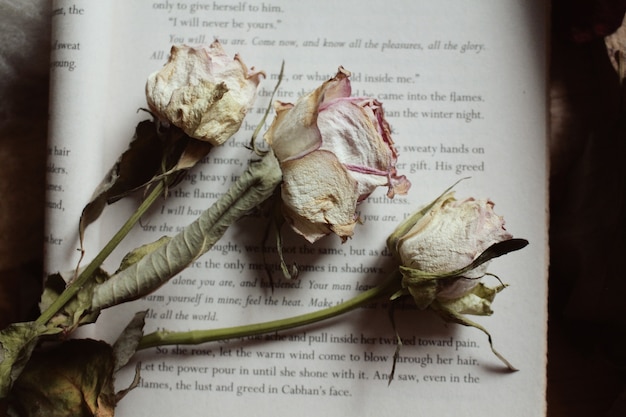 Gros plan de belles fleurs séchées sur un livre ouvert