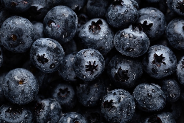 Gros plan de bleuets avec des gouttelettes d'eau