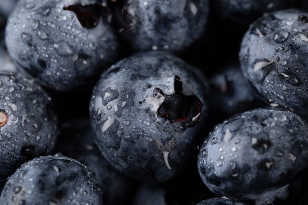 Gros plan de bleuets avec des gouttelettes d'eau