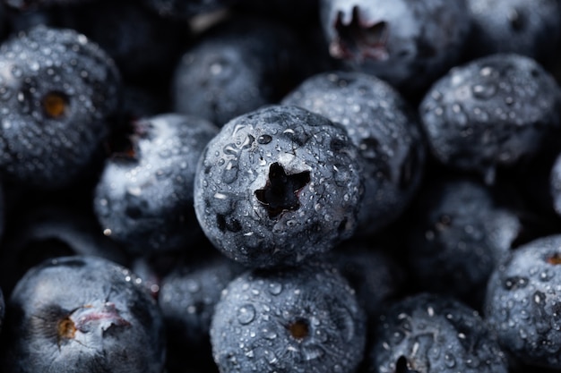 Gros plan de bleuets avec des gouttelettes d'eau