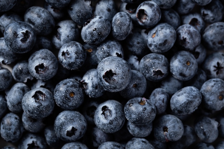Photo gratuit gros plan de bleuets avec des gouttelettes d'eau