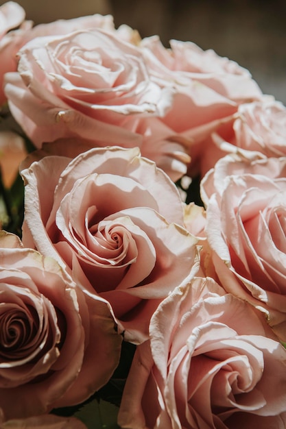 Gros plan d'un bouquet de roses roses